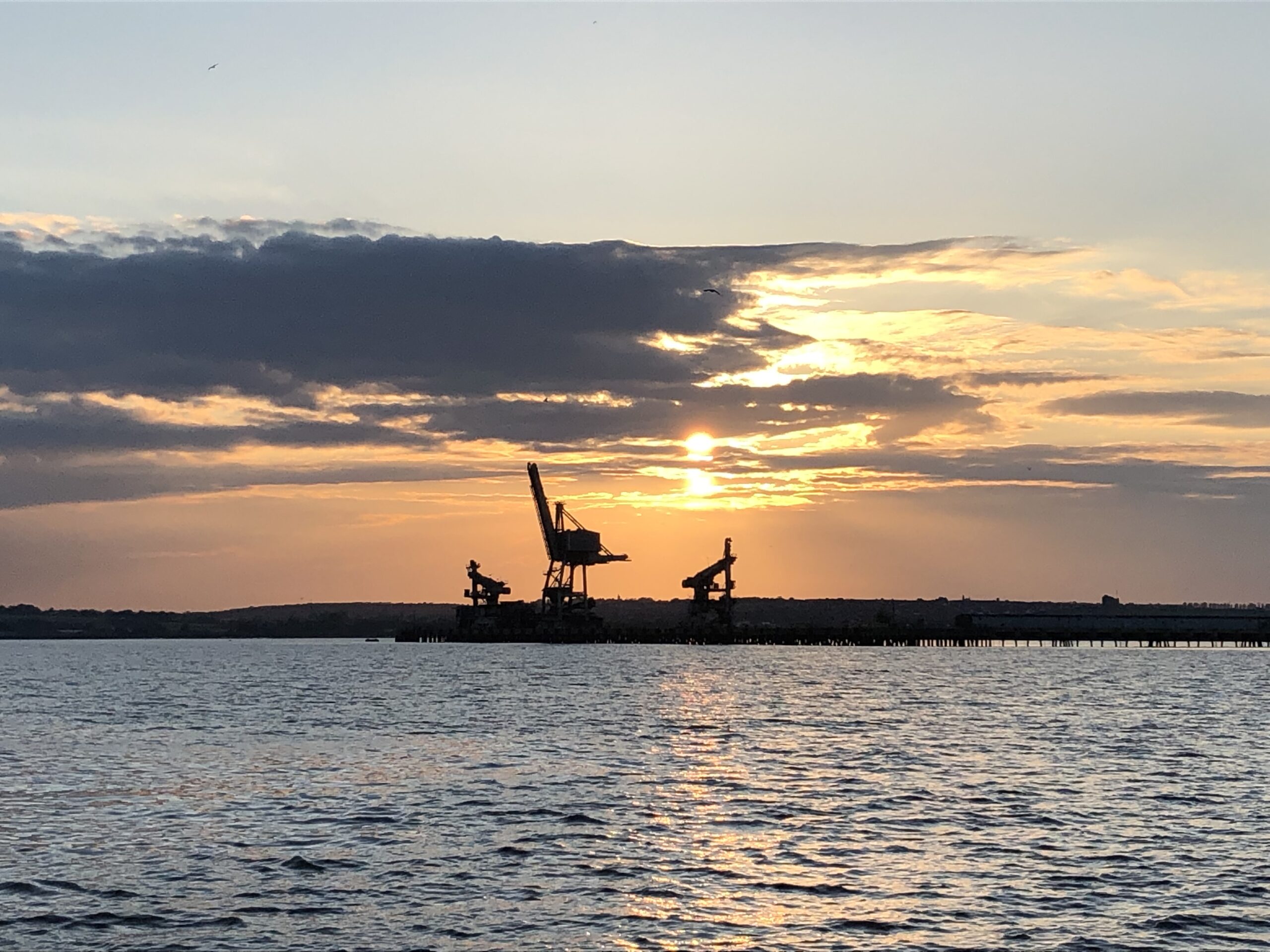 Sunset over the estuary with silhouettes of cranes