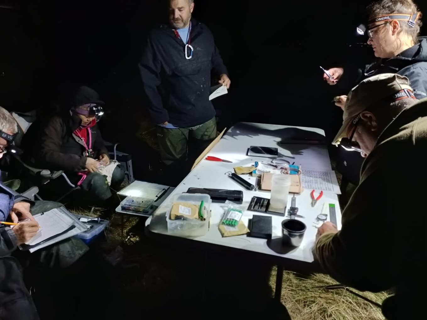 five adults wearing waterproof clothing and head torches sitting round a white table with equipment to record details of birds they have caught.