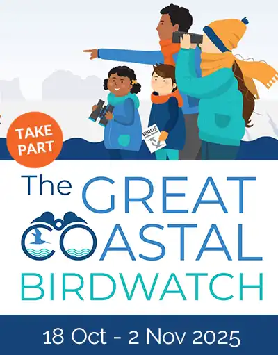 Great Coastal Birdwatch